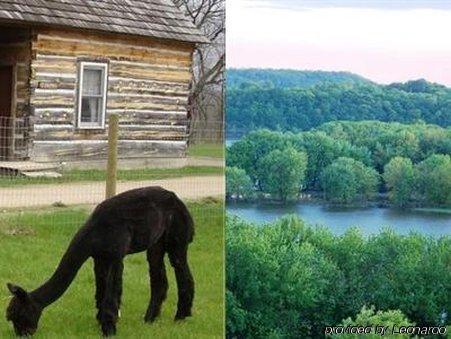 Galena Log Cabin Getaway Екстериор снимка