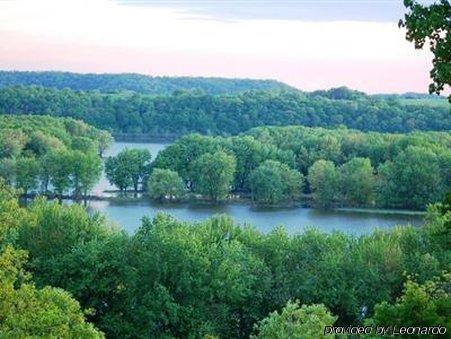 Galena Log Cabin Getaway Екстериор снимка
